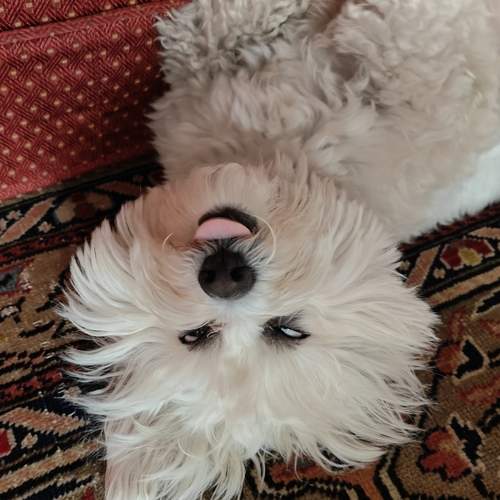 Photo #12792079