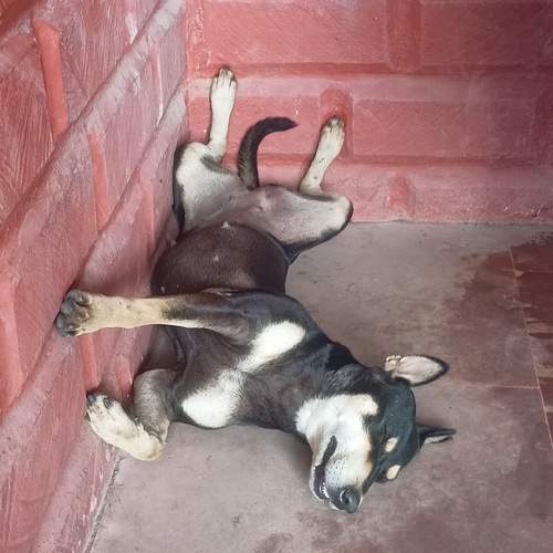 Photo #12792242