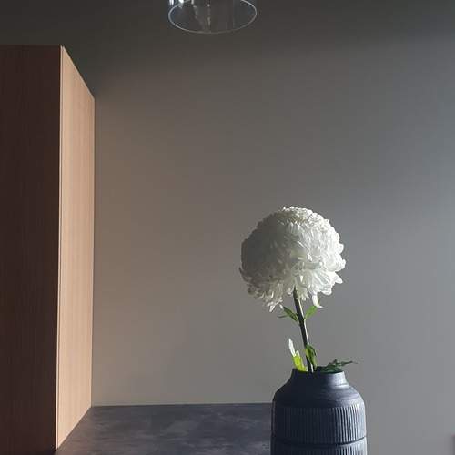 Photo #12792264