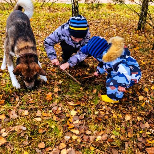 Photo #12792276