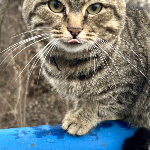 Photo #12792354