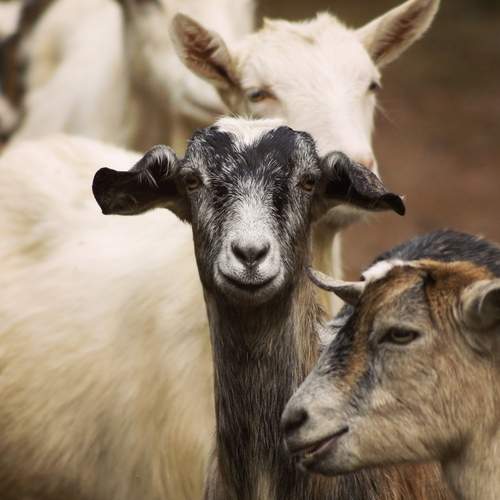 Photo #12792584