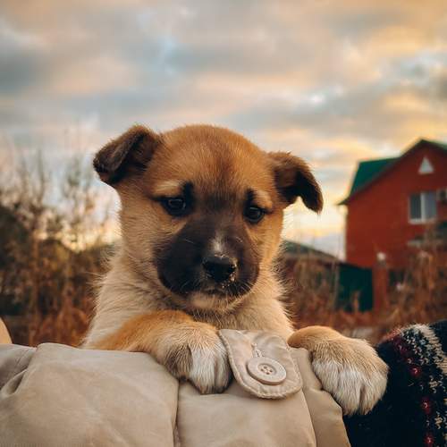 Photo #12792782