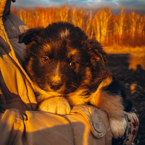 Photo #12792794