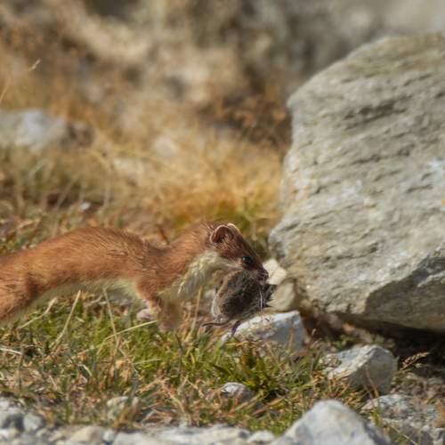 Photo #12792857