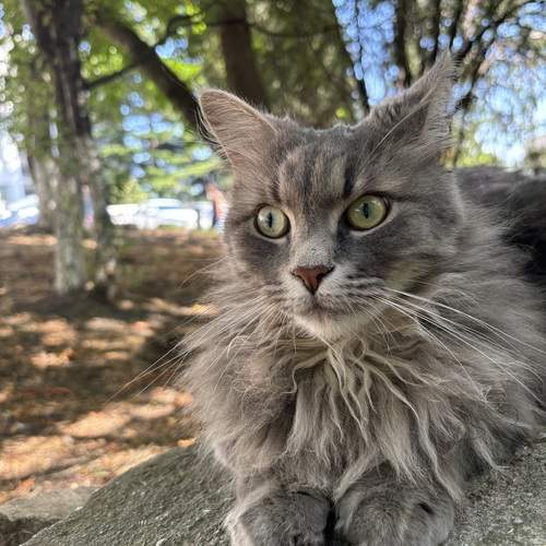 Фотография #12792932