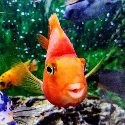 Photo #12793067