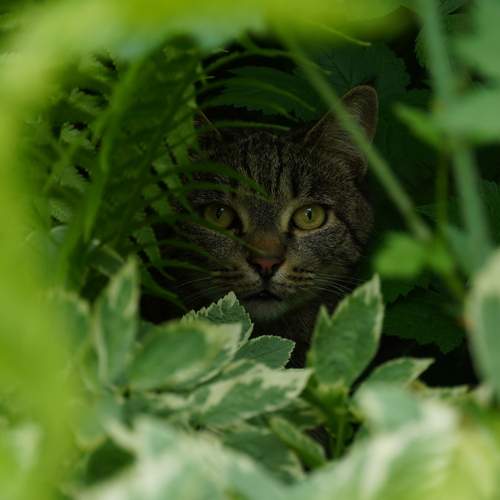 Photo #12793107