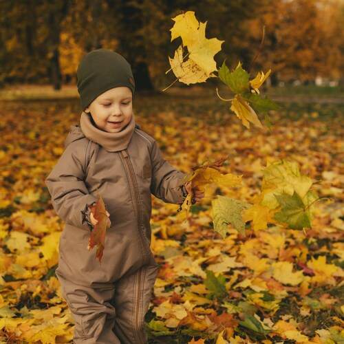 Photo #12793110