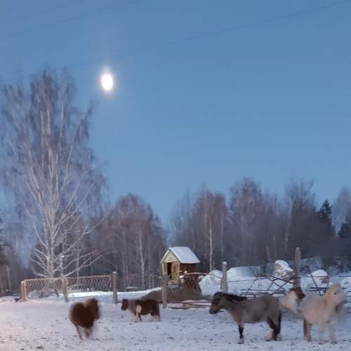 Photo #12793219