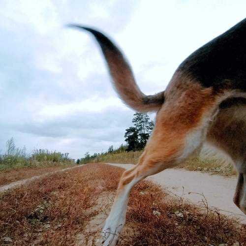 Photo #12793275