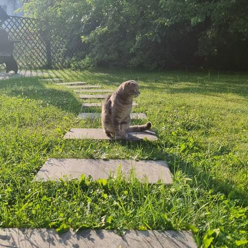 Photo #12793280