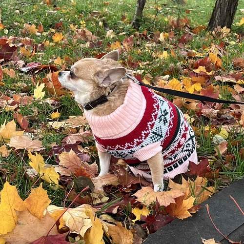 Photo #12793395