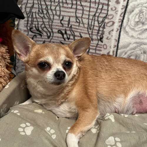 Photo #12793401