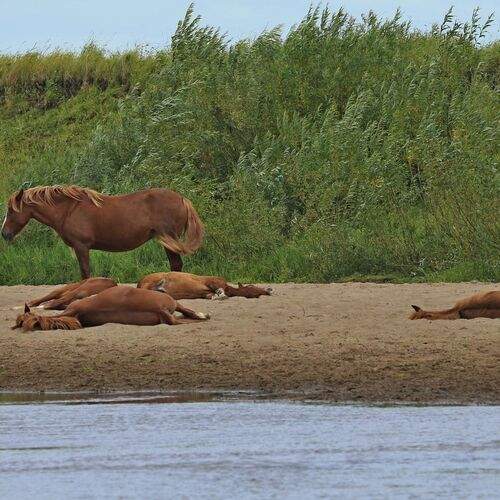 Photo #12793441