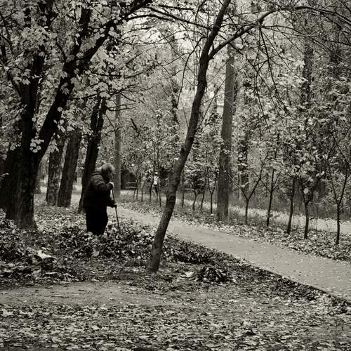Photo #12793527
