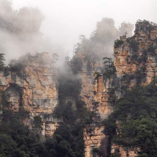 Photo #12793581