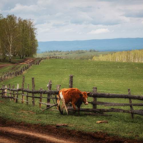 Photo #12793643