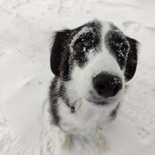 Photo #12793657