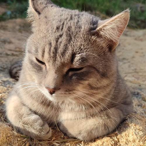 Photo #12793659