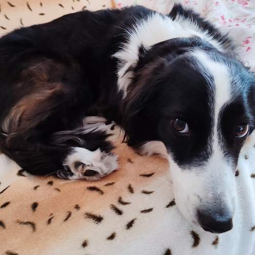 Photo #12793660