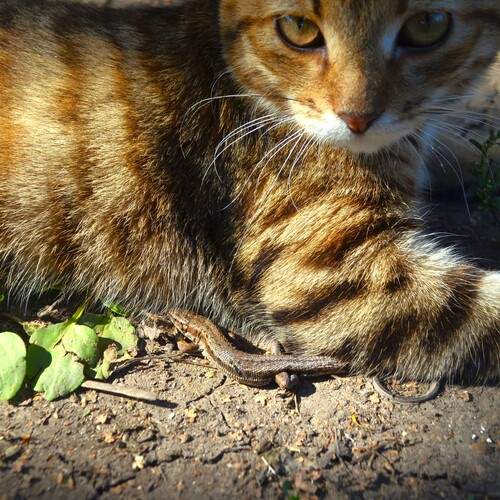 Photo #12793736