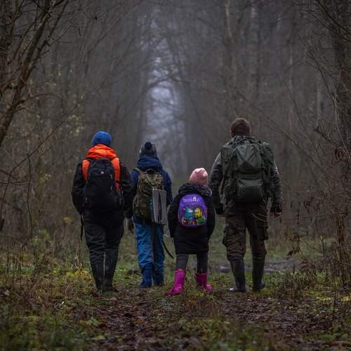 Photo #12793767
