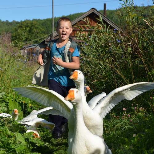 Photo #12793798