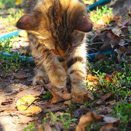 Photo #12793838
