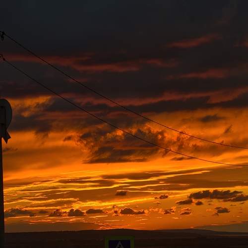 Photo #12793950