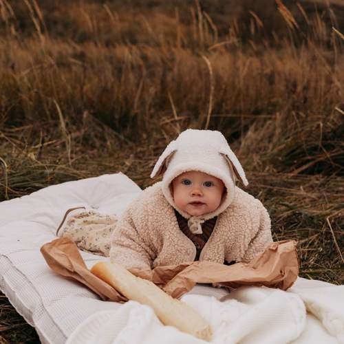 Photo #12794130