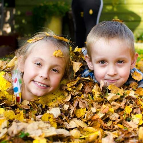 Photo #12794143