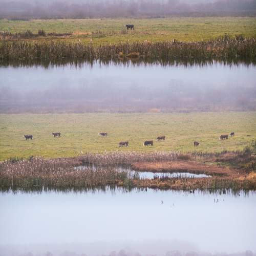 Photo #12794378