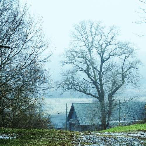 Photo #12794406