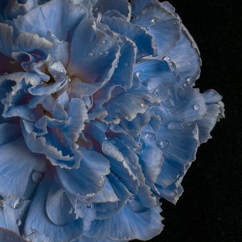 Photo #12794623