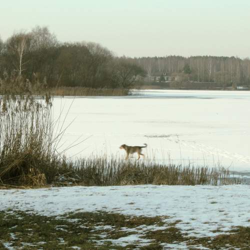 Photo #12794853