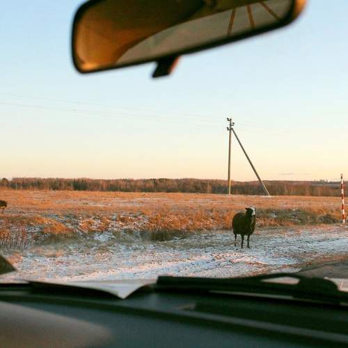 Photo #12794862