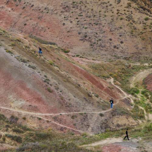 Photo #12795256