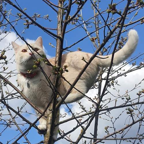 Photo #12795431