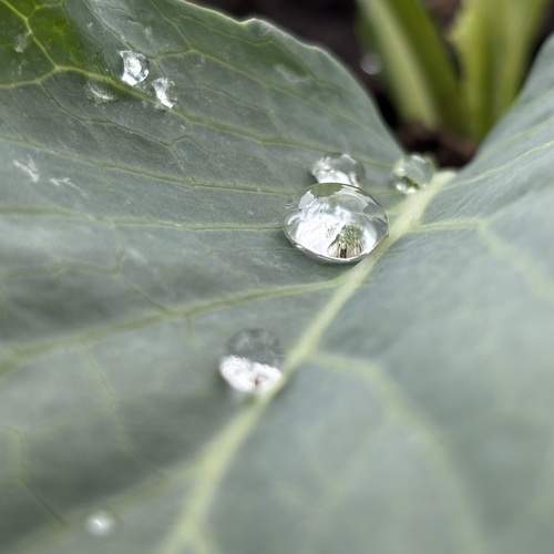 Photo #12795483