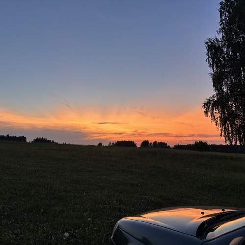 Photo #12795486
