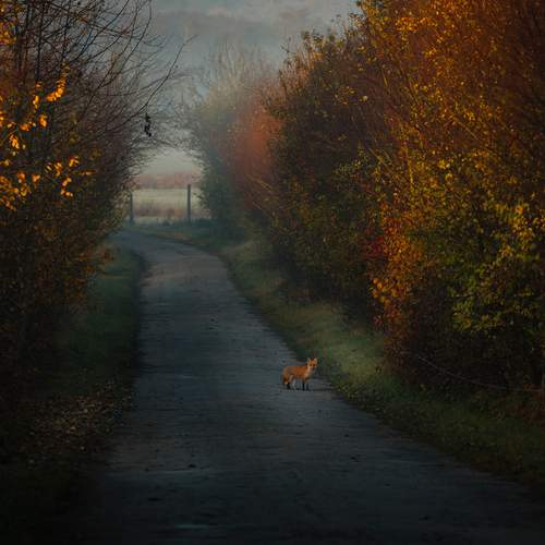 Photo #12795970