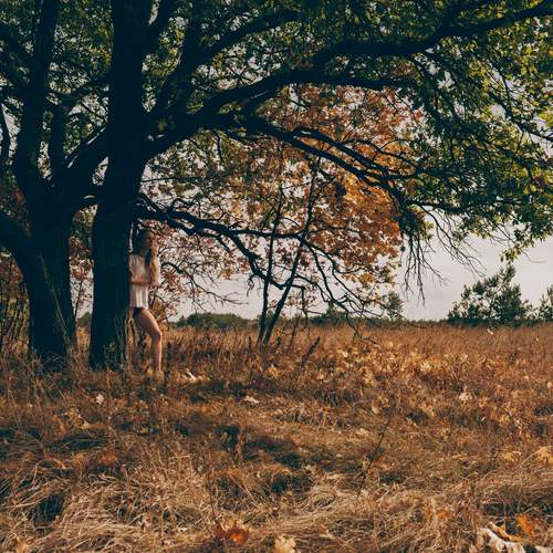 Photo #12796000