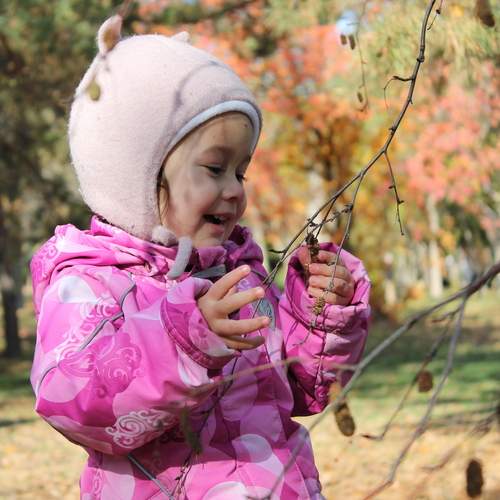 Photo #12796043
