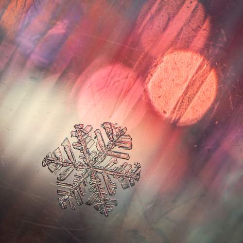 Pink Lights and a Snowflake