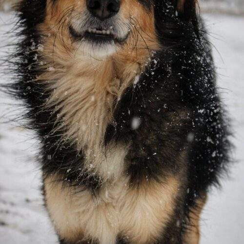 Photo #12796411