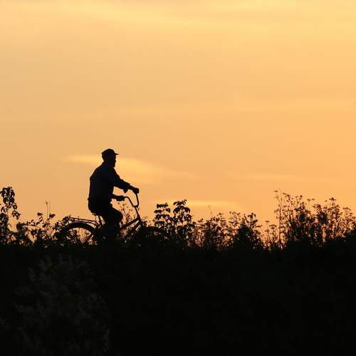 Photo #12796728