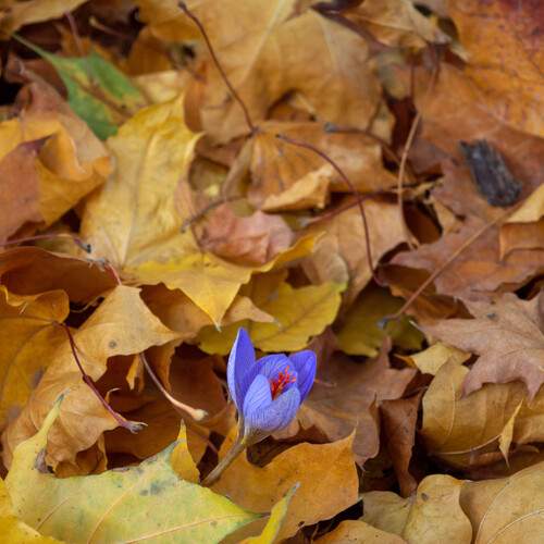 Photo #12796946