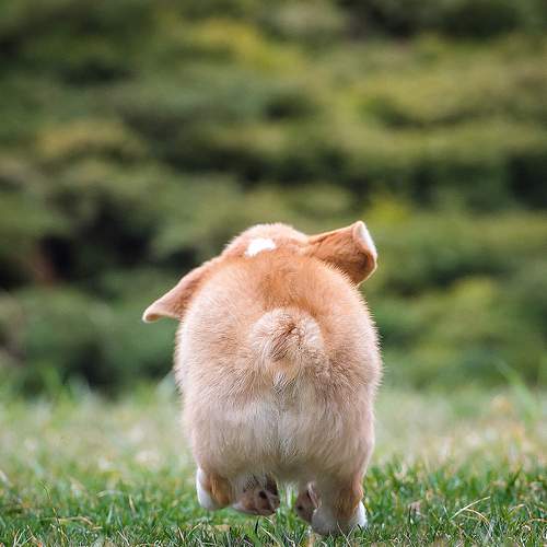 Photo #12797055