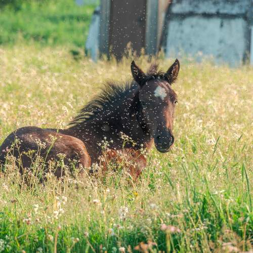 Фотография #12797109